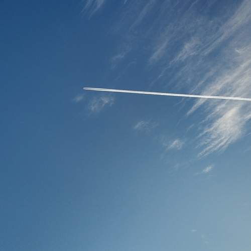 Photo #7306876