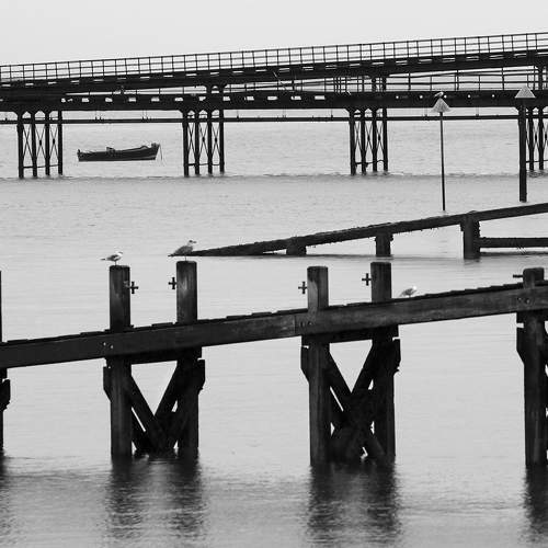 Photo #7306908
