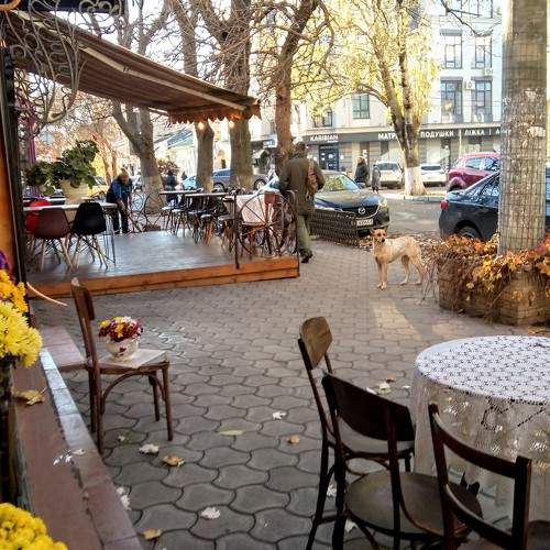 Photo #7307184