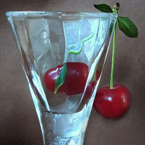 Photo #7307223