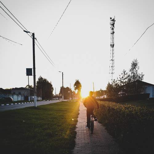 Photo #7307355