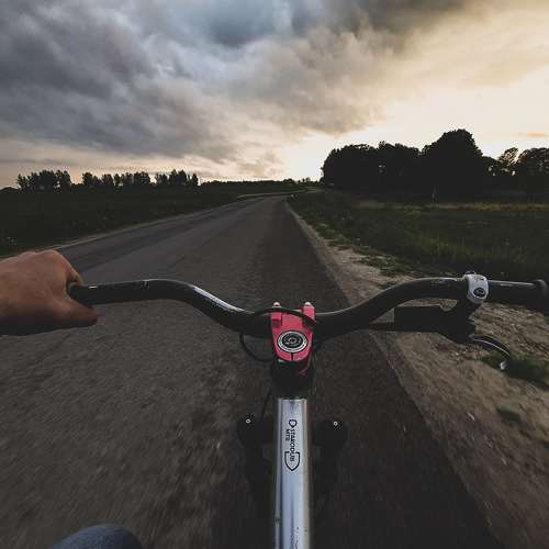 Photo #7307374