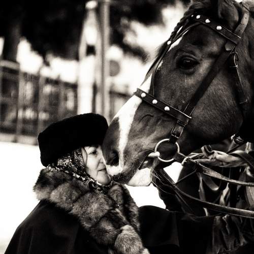 Photo #7307407