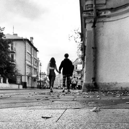 Photo #7307591