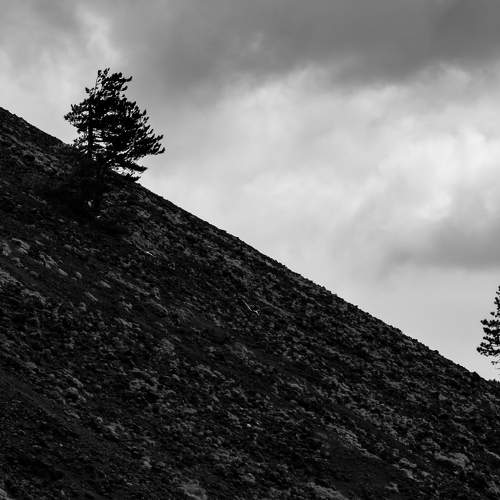 Photo #7307627