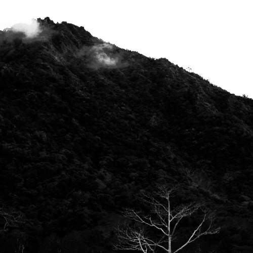 Photo #7307838