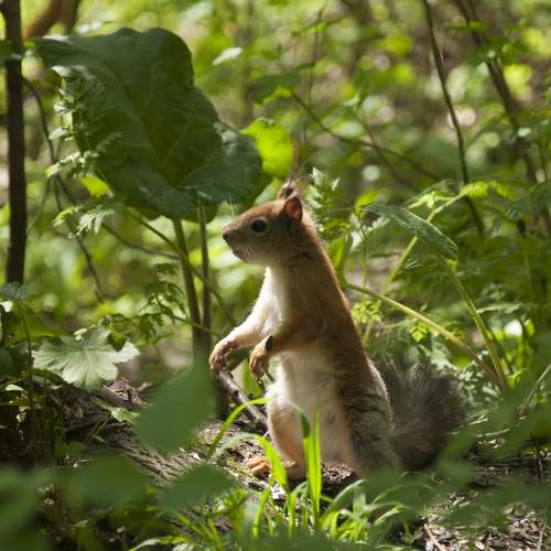 Photo #7307872