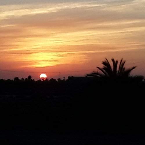 Photo #7307922