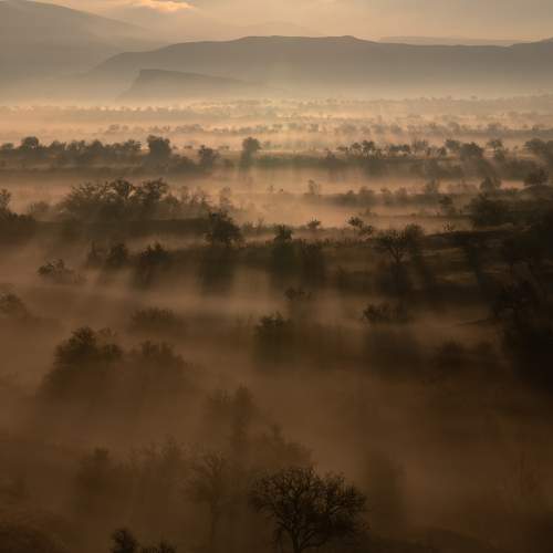 Photo #7307955