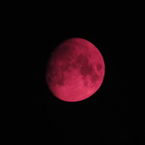 Photo #7307977