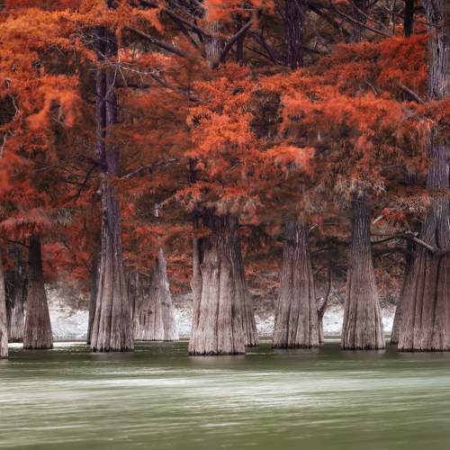 Photo #7308024