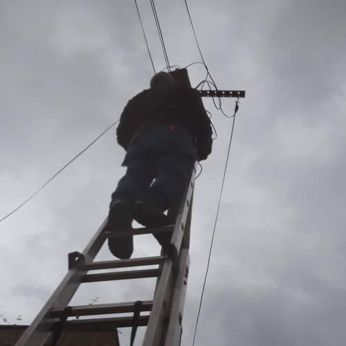 Photo #7308028