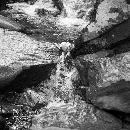Photo #7308047