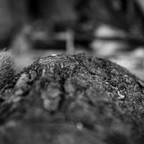Photo #7308101
