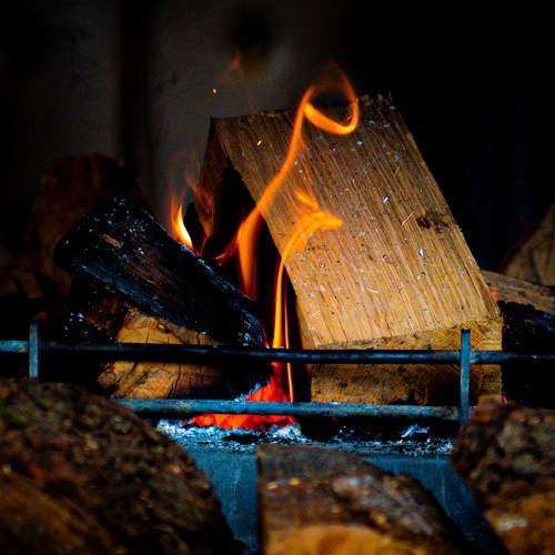 Photo #7308161