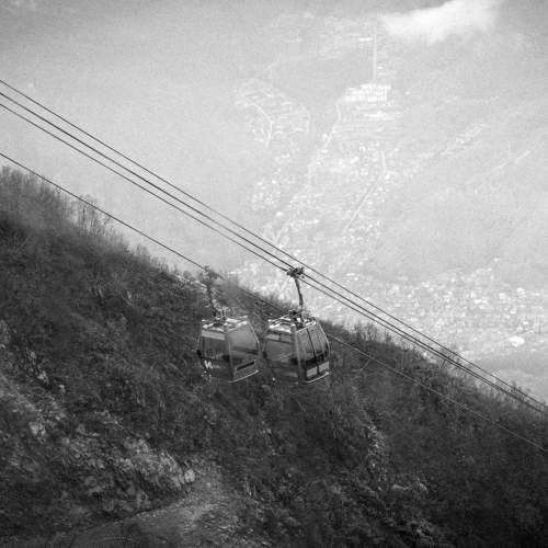 Photo #7308181