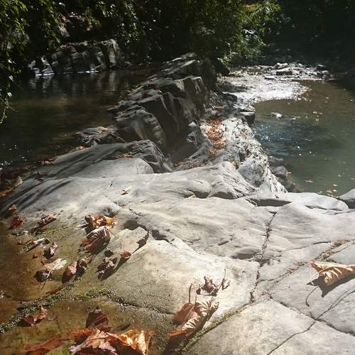 Photo #7308257