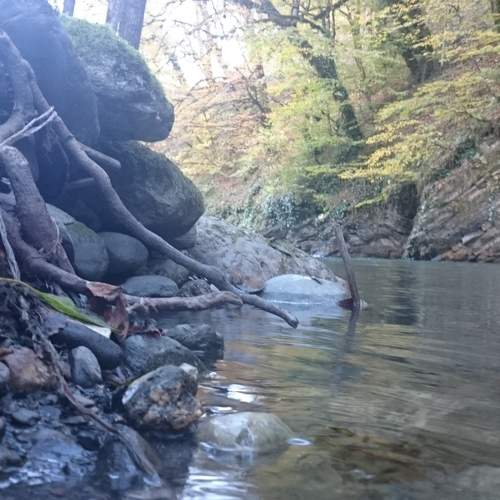 Photo #7308298