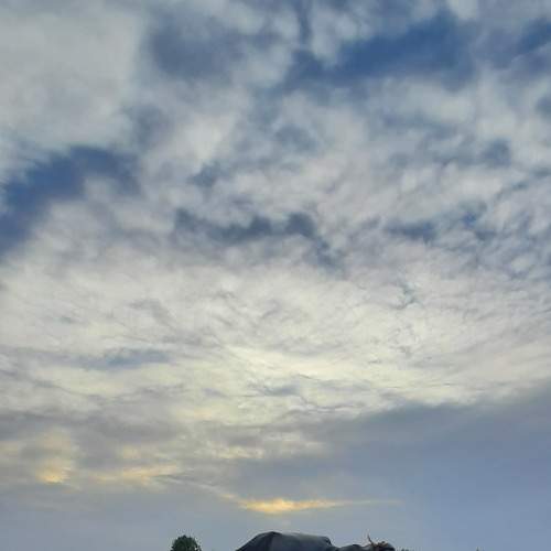Photo #7308459
