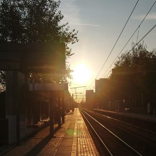Photo #7308791