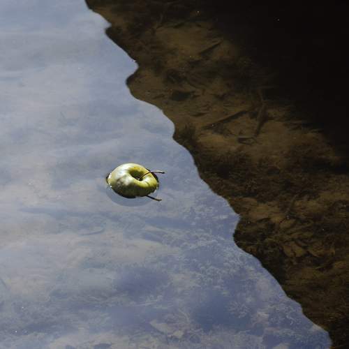 Photo #7308873