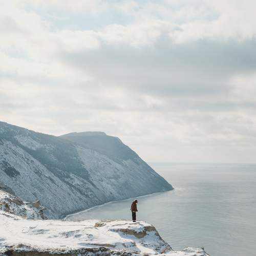 Photo #7309021