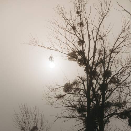 Photo #7309082