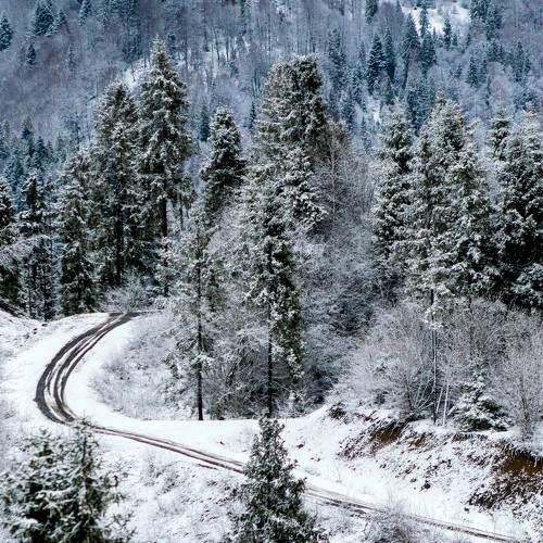 Photo #7309780