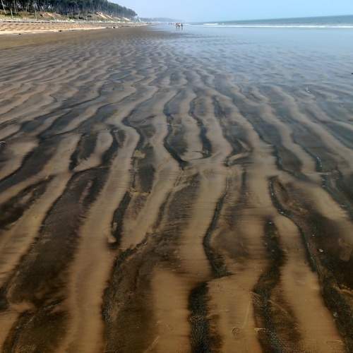 Photo #7309826