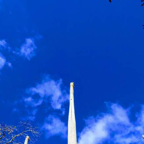 Photo #7309828