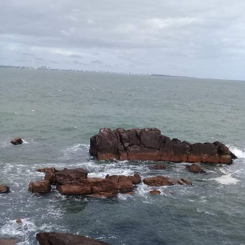 Photo #7309933