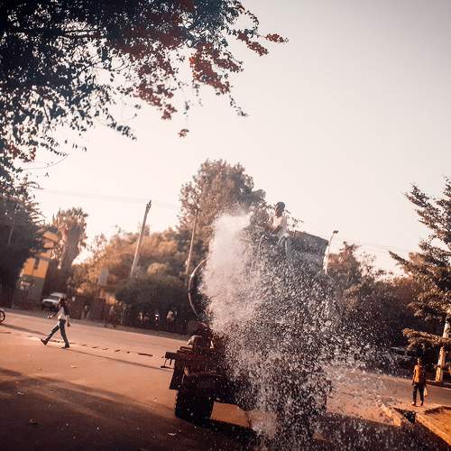 Photo #7310029