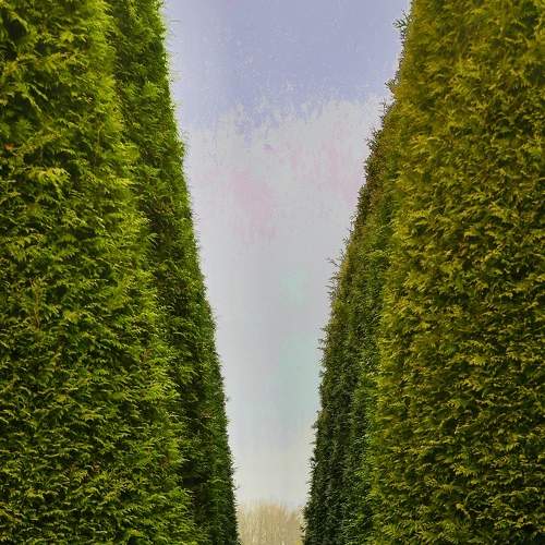 Photo #7310056