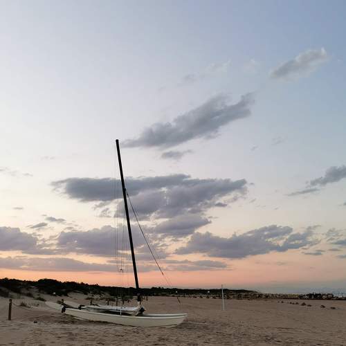 Photo #7310074