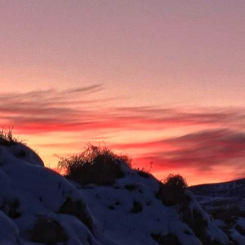 Photo #7310127