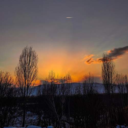Photo #7310130