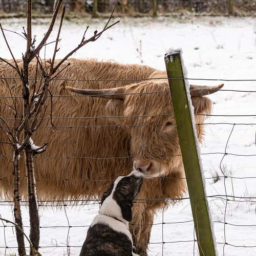 Meeting an old friend