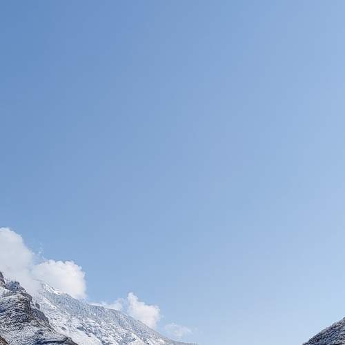 Photo #7310268
