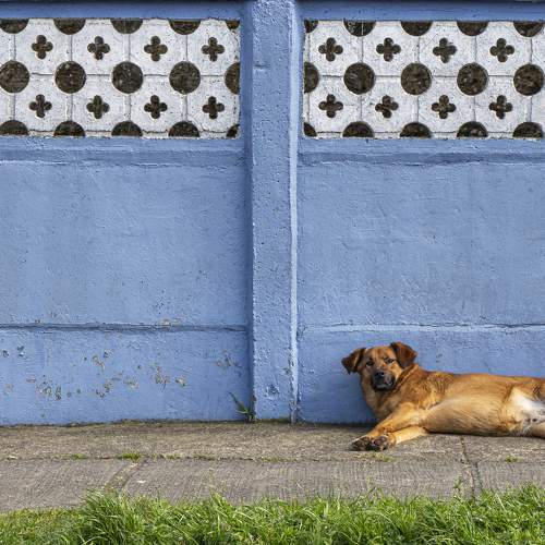 Photo #7310285