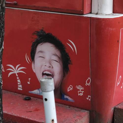 Photo #7310515