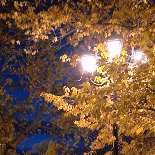 Photo #7310562