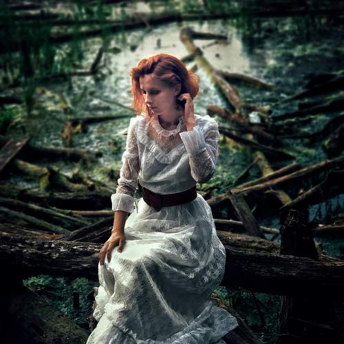 Photo #7310564