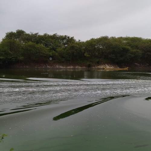 Photo #7310839
