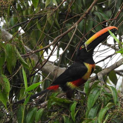 Photo #7310910