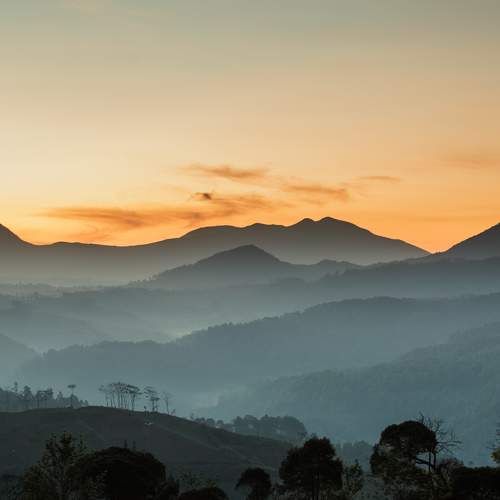 Photo #7310945