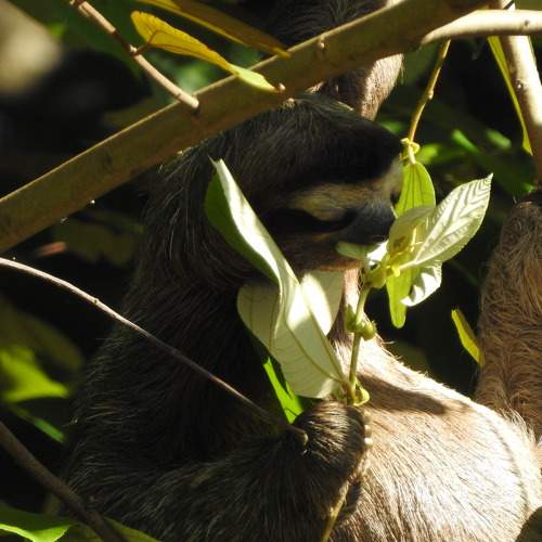 Photo #7310947