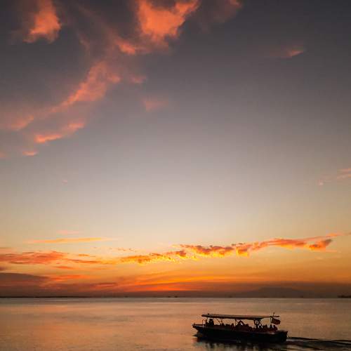 Photo #7310961