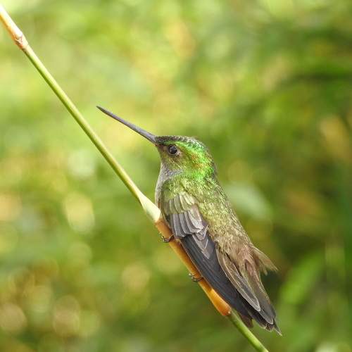 Photo #7310971