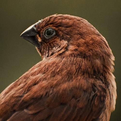 Photo #7311045