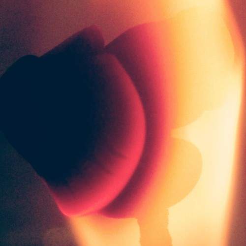 Photo #7311308
